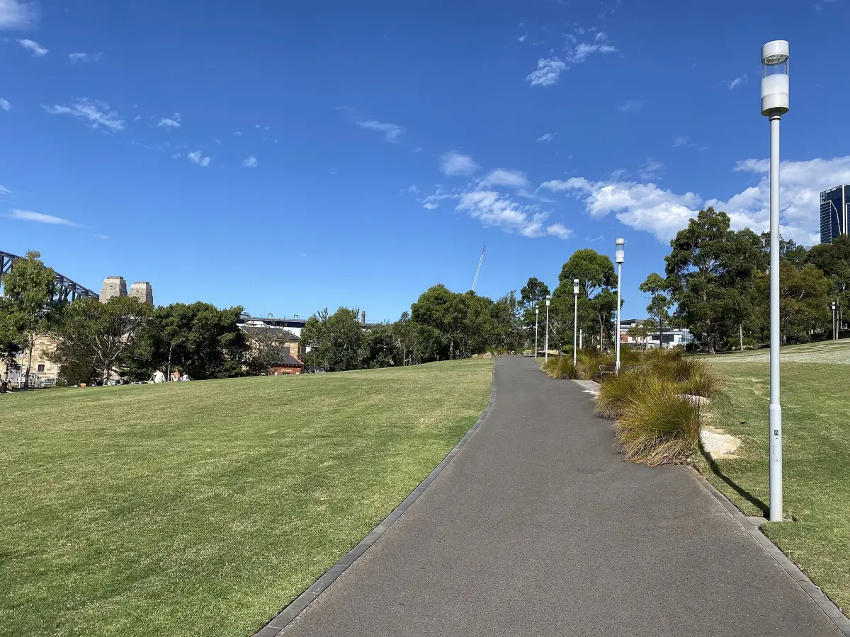 Path running between a lawn and a native planting bed, with a light pole on the verge