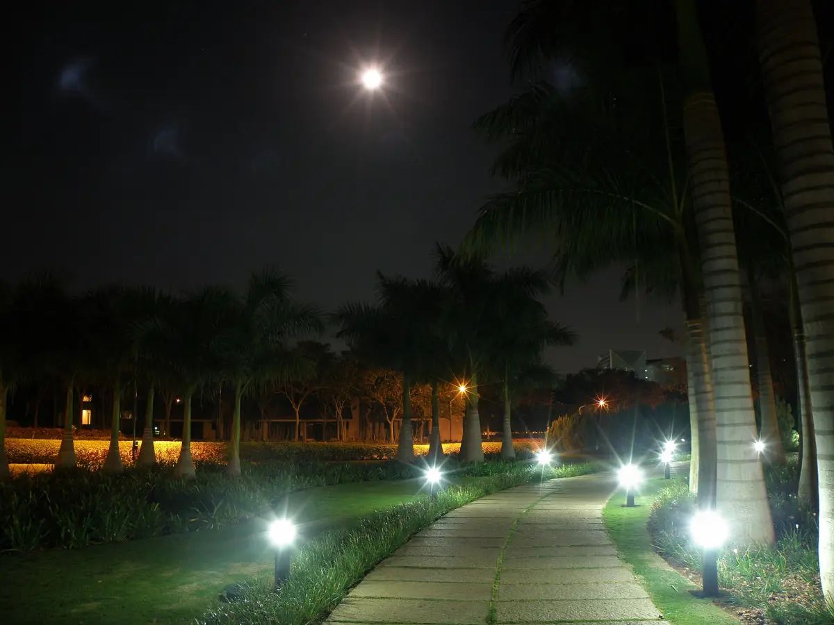 Garden path at night lit by low bollard lights