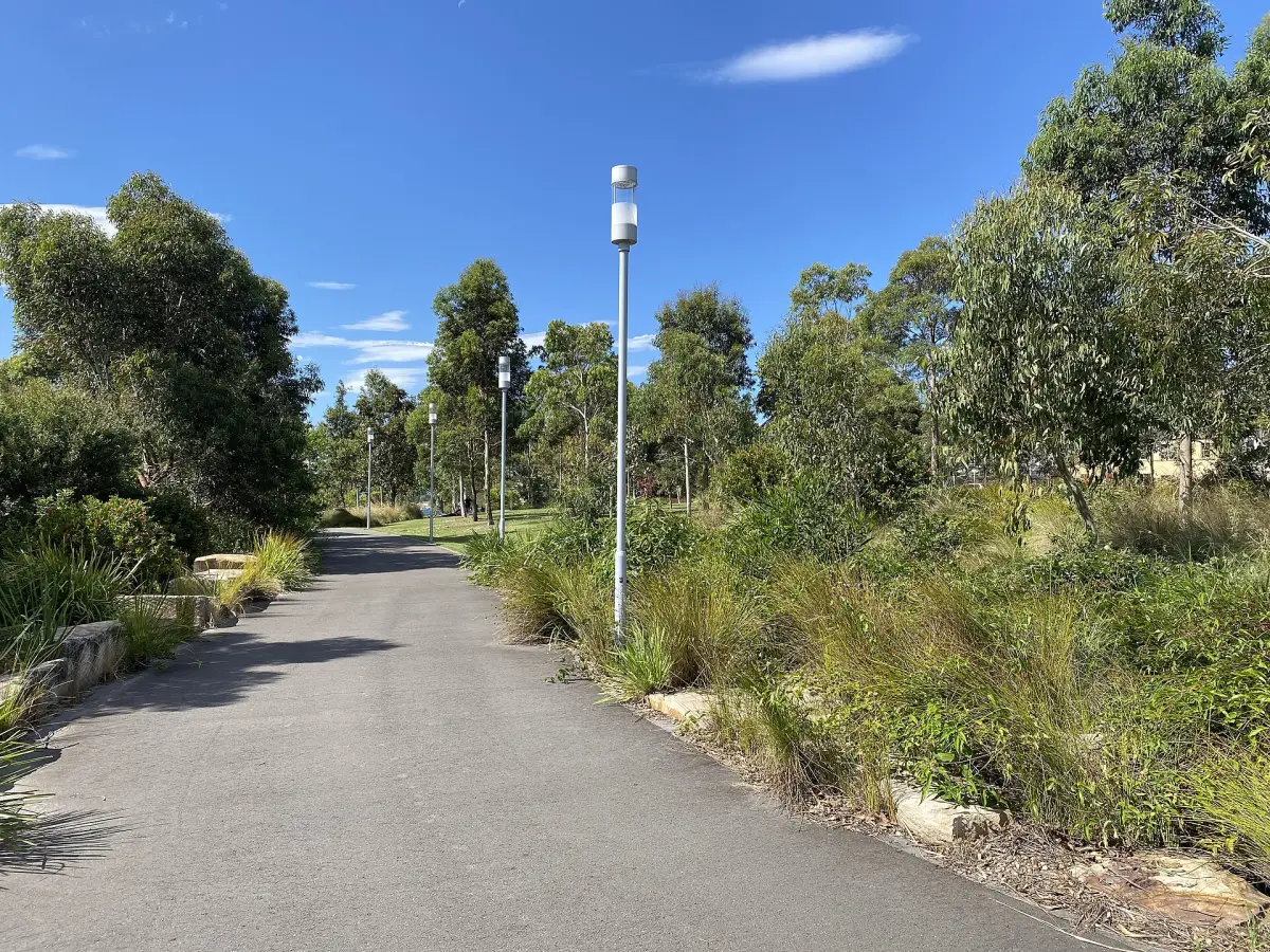 Sealed path curving through native grasses, shrubs and sandstone blocks at Barangaroo Reserve, Sydney, with light poles along the edge