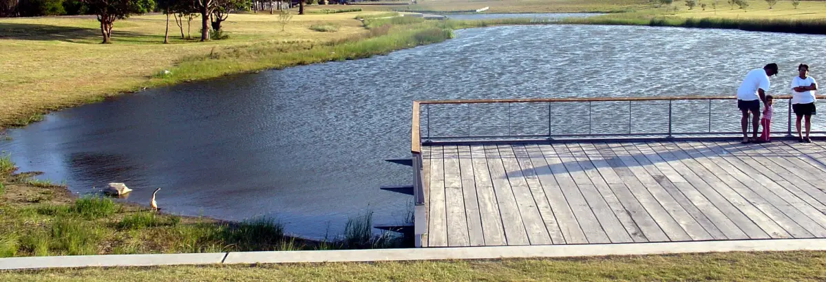 People standing on a timber deck over a wetland pond in Sydney Park